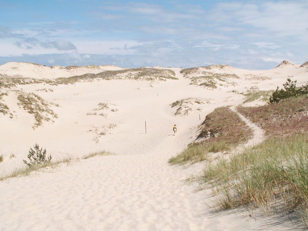 Czo?pino - sand-drift